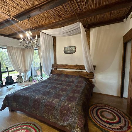 אודסה Chervona Kalyna Cottage מראה חיצוני תמונה